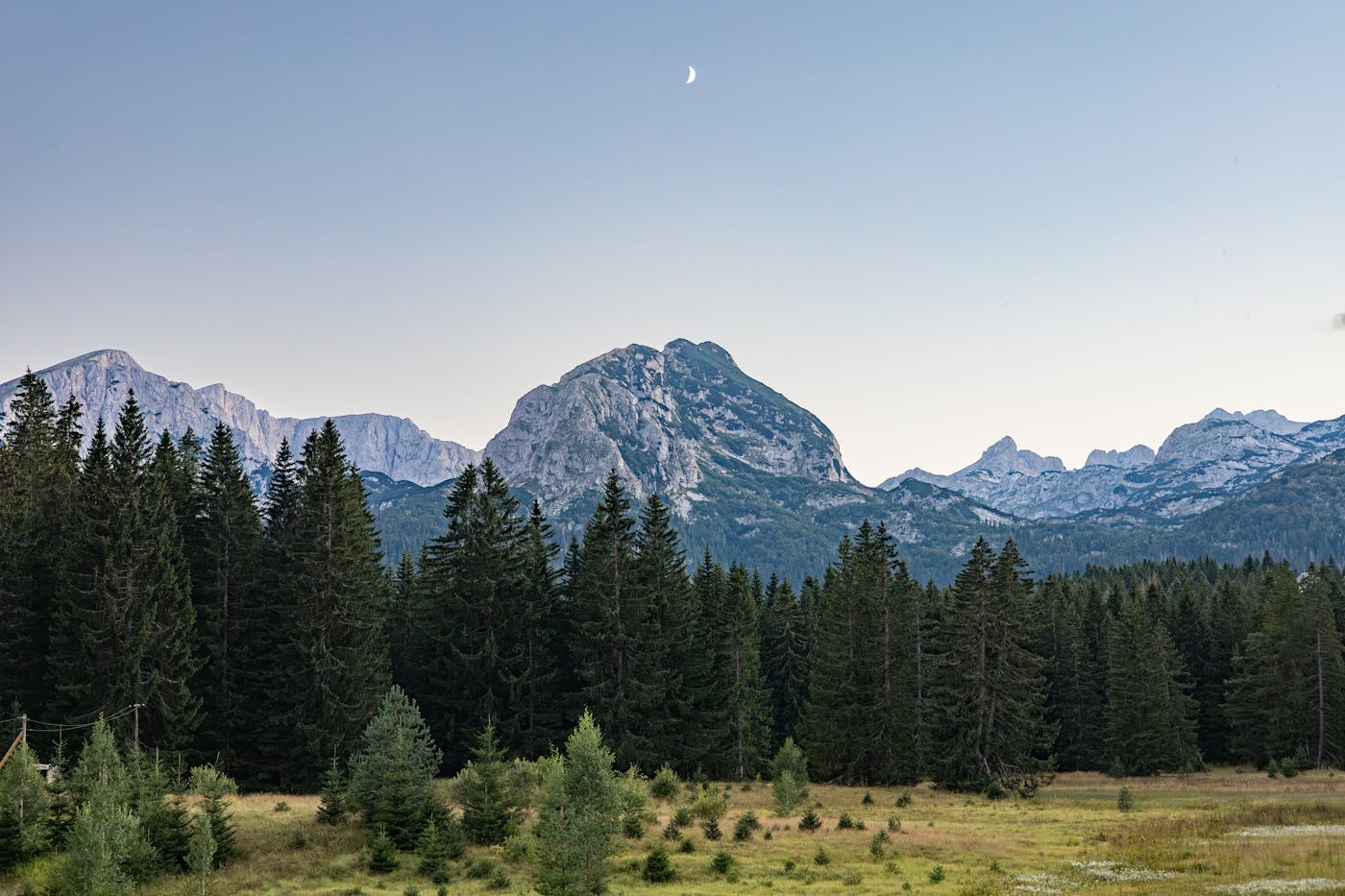 Montenegrin mountain range with pine forest under a rising moon, evening light